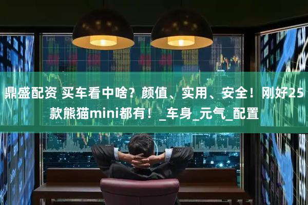 鼎盛配资 买车看中啥？颜值、实用、安全！刚好25款熊猫mini都有！_车身_元气_配置