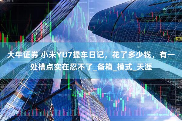 大牛证券 小米YU7提车日记，花了多少钱，有一处槽点实在忍不了_备箱_模式_天涯