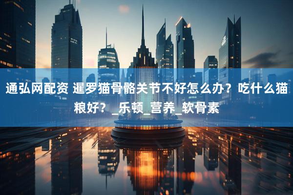 通弘网配资 暹罗猫骨骼关节不好怎么办？吃什么猫粮好？_乐顿_营养_软骨素
