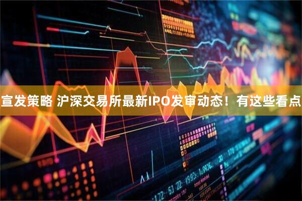 宣发策略 沪深交易所最新IPO发审动态！有这些看点
