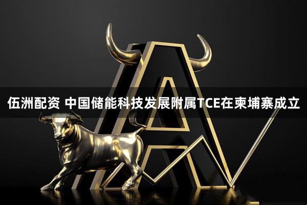 伍洲配资 中国储能科技发展附属TCE在柬埔寨成立